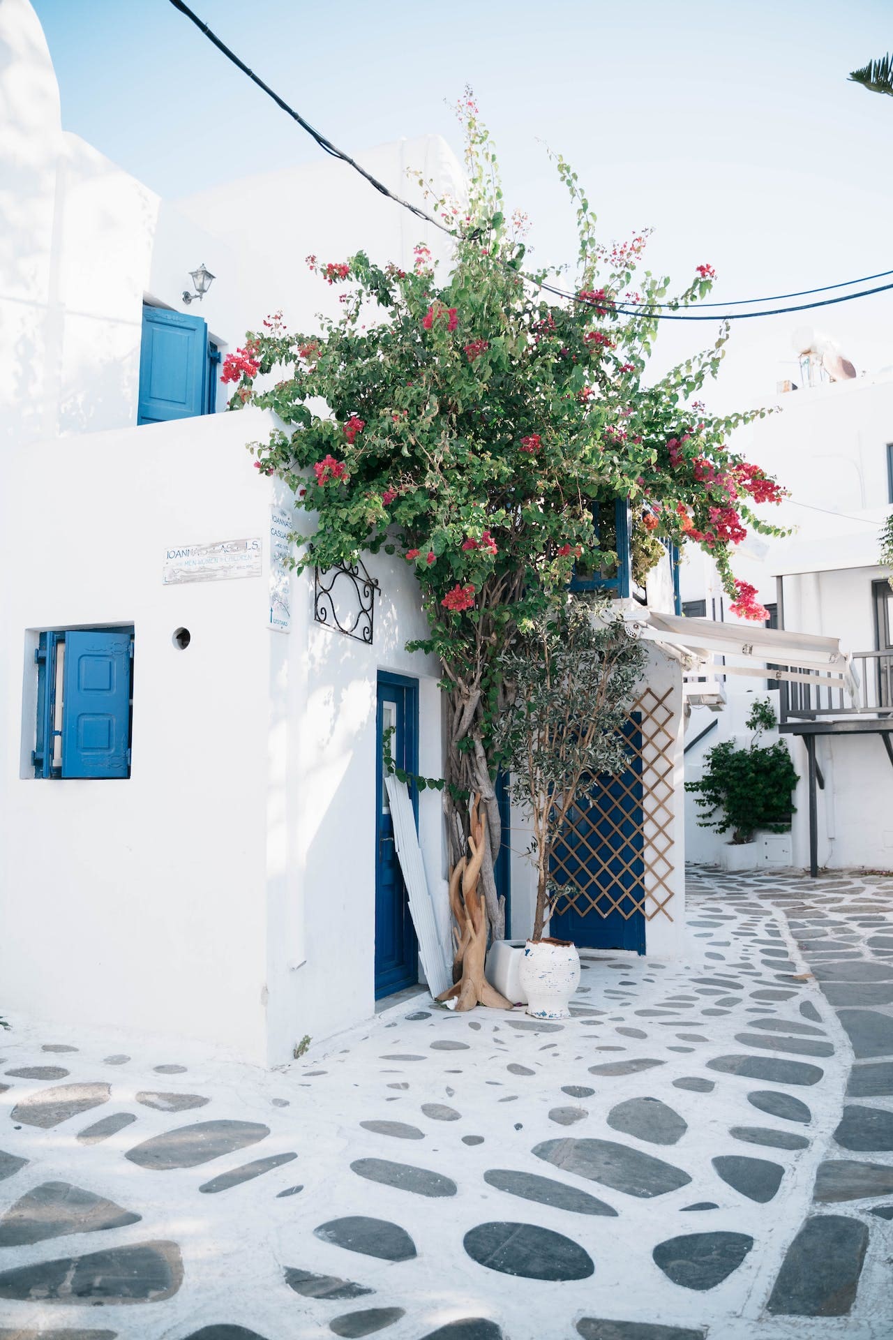 casa in stil grecesc, fatada alba, ferestre albastre, trandafiri